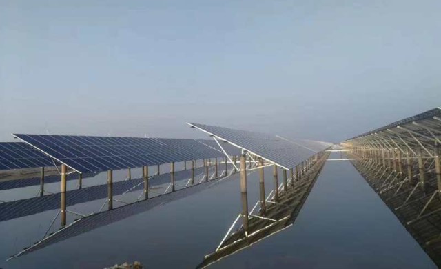Tongwei 300 MW Smart PV Plant Exceeds Expectations